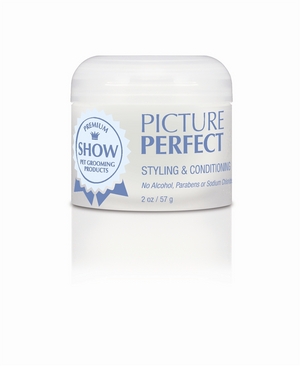 Picture Perfect Styling + Conditioning Paste